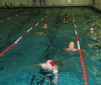 101-0153_IMG.JPG (107446 Byte)