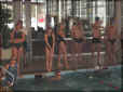 109-0901_IMG.JPG (80395 Byte)